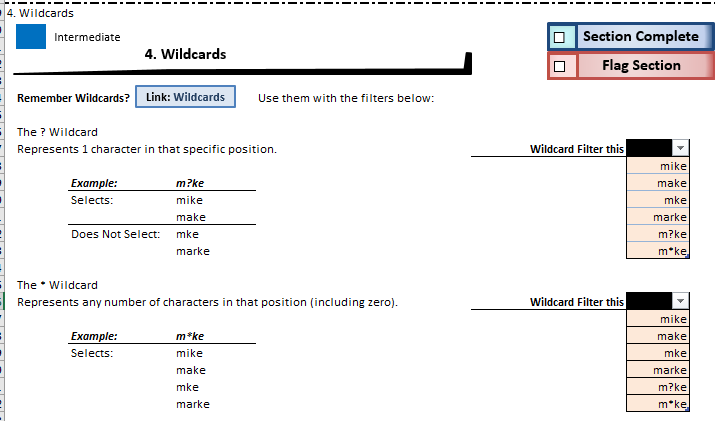 wildcard wildcard