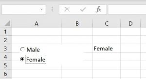 vba-option-button-female