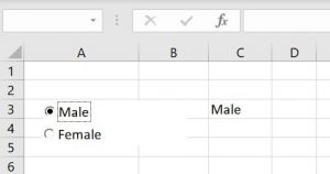 vba-option-button-male