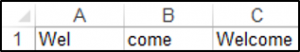 Using The Concatenate Operator in VBA to join Text Strings