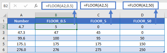 FLOOR 0.5 5 50