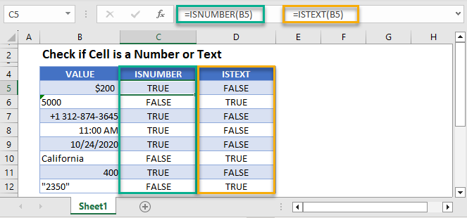 Cell is Number or Text Main Function