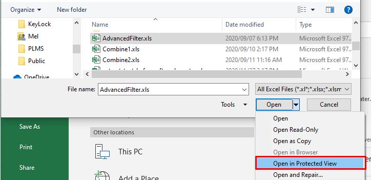 ProtectedView OpenProtected File