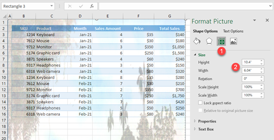 picture size excel