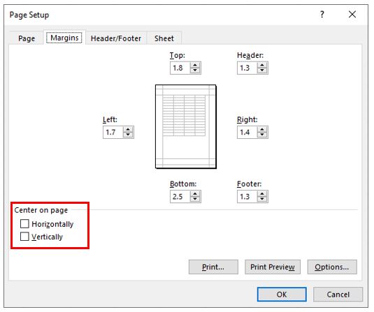 PageSetup Dialog Margins tab