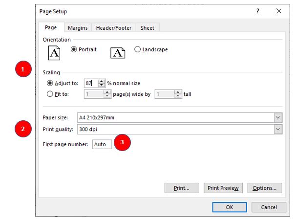 PageSetup Dialog Print tab