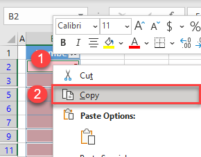 copy visible cells 3