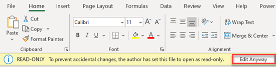 edit read only file excel