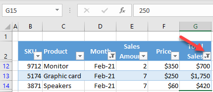 excel data filtered by multiple columns