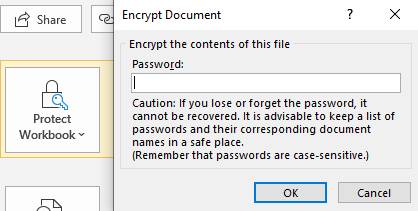 excel file remove a password