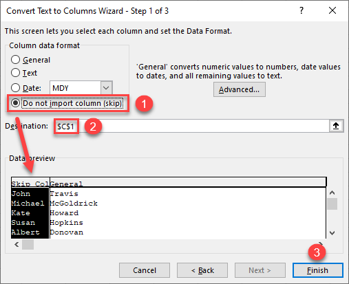 text to columns step 3