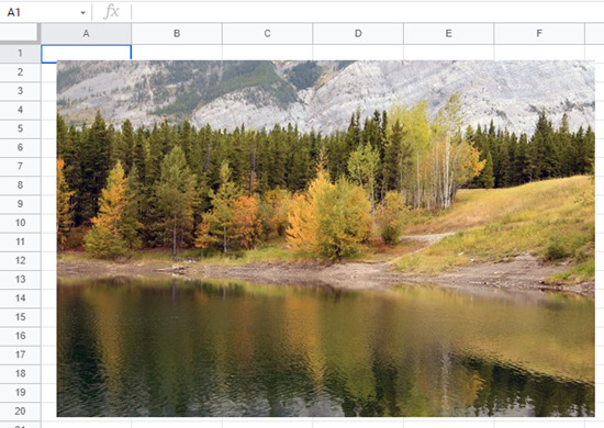 google sheets insert single picture 2