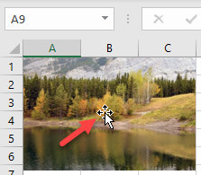 move a picture excel