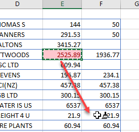 condformatting copy format painter