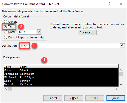 text to column step 3a