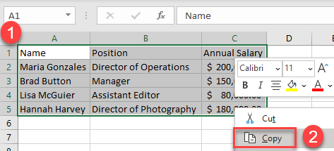 copy column widths new1