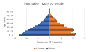 Population Pyramid Graph Excel
