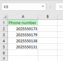 format phone numbers 1