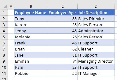 VBAStructure DataTable