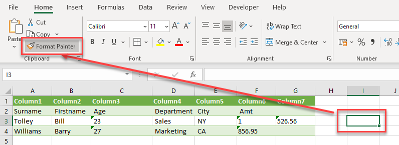 clean data format painter