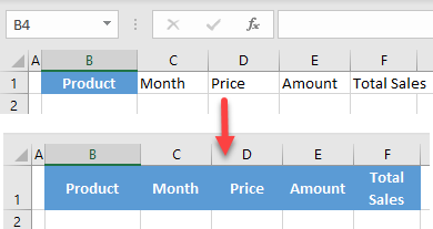 use format painter for multiple cells initial data