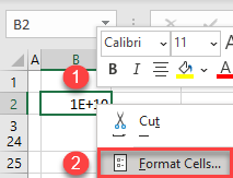 remove scientific notation 5