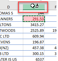 cond formatting format painter select column