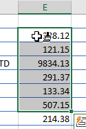 condformatting format painter