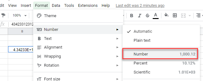 scientific notation gs format