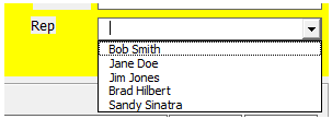 vba initialize dropdown