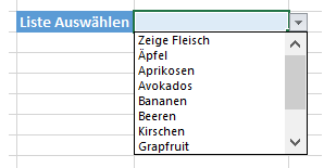 Dropdown Liste wenn Funktion 04