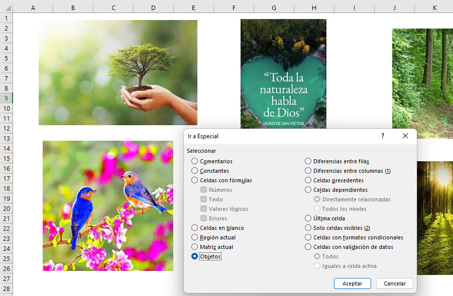 Ir a Especial Seleccionar Objetos Master en Excel