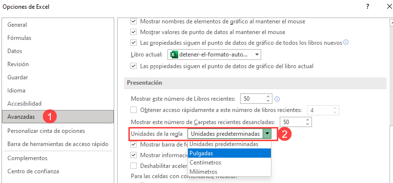 Opciones Avanzadas en Excel