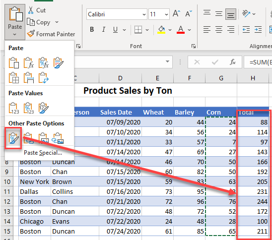 paste special excel format