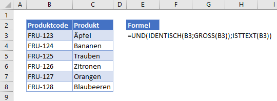 Datenueberpruefung nur grossgeschiebener text