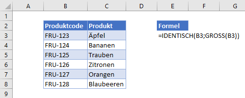 Datenueberpruefung nur grossschreibung zulassen