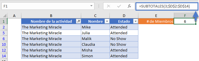 Función Subtotales Tabla Filtrada en Excel