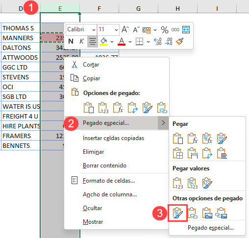 Pegar Formato en Excel