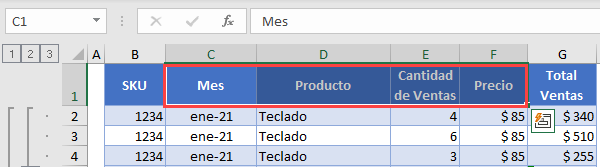 Seleccionar Encabezados de Columnas