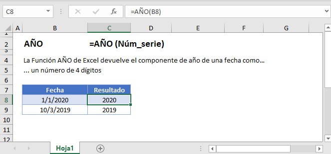 Ejemplos de Función AÑO en Excel