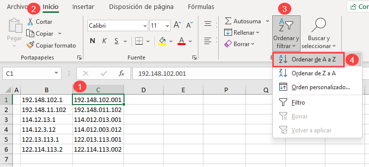 Ordenar Columna con Direcciones IP Formateadas