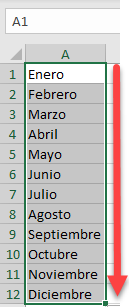 Relleno de Texto Meses en Excel