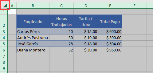 Seleccionar Hoja de Trabajo Completa en Excel