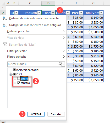 Filtrar Mes en Excel