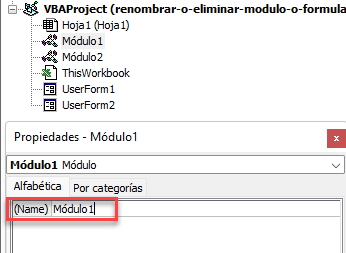 Renombrar Módulo VBA
