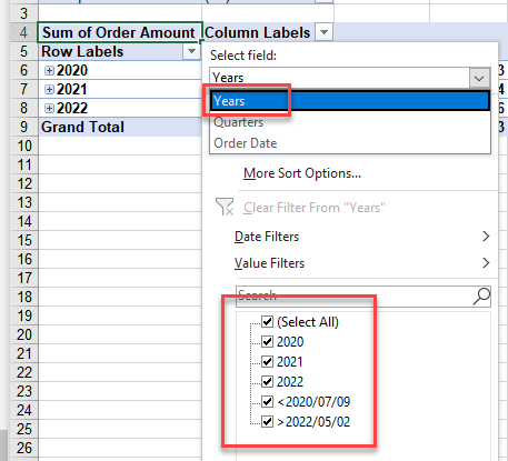 pivotfilter date select year