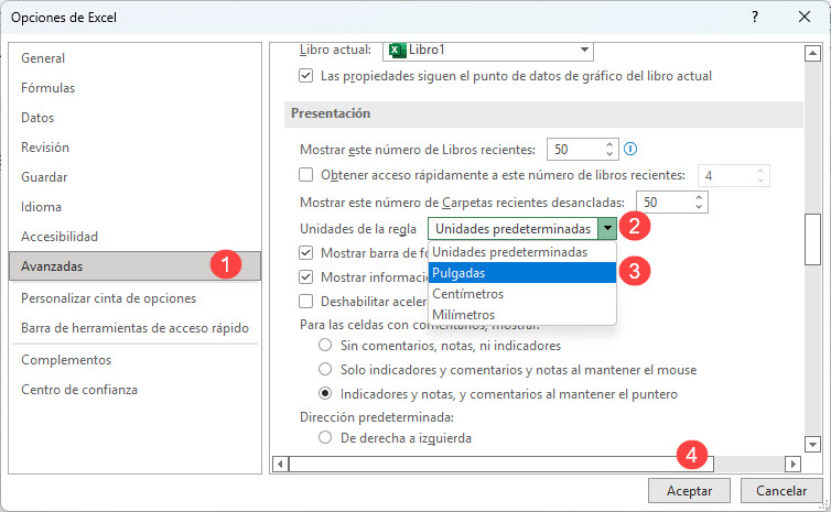 Cambiar Unidades de Regla de Píxeles a Pulgadas en Excel