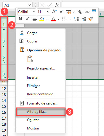 Clic Derecho en Selección de Filas en Excel