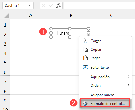 Formato de Control Casilla de Verificación