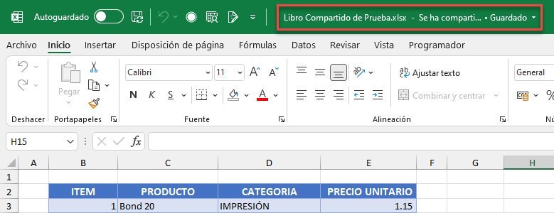 Libro Compartido en Excel